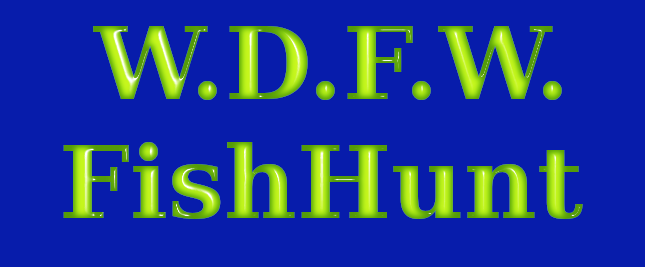 fishhunt.png